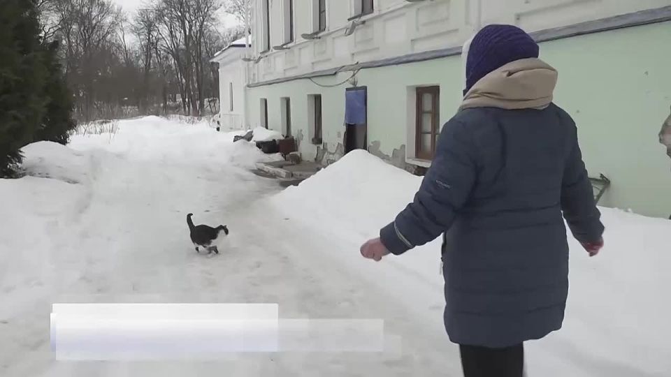 11111 ������� ���� ������� ������� ����� � ����� ������ � ����� �����: