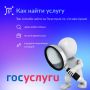 Как найти нужную услугу на Госуслугах