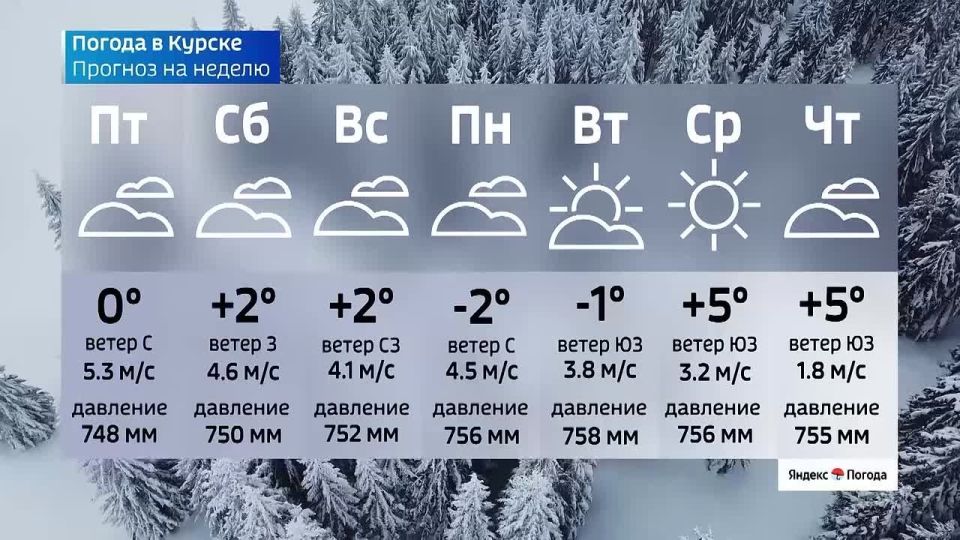 �� 5 �����. ����� ������ | �������� | MAX