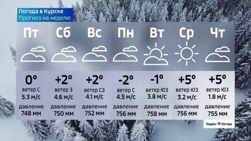 на 5 марта. ВЕСТИ Читать | Прислать | MAX