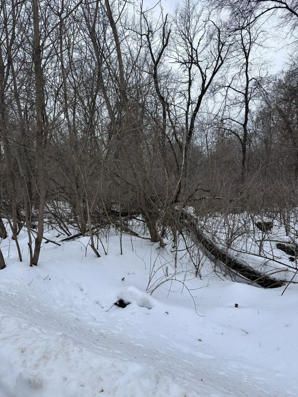 � ����� ������ ���� �������� ������ �� ������ ����������