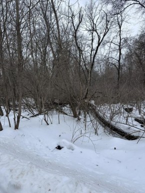 � ����� ������ ���� �������� ������ �� ������ ����������