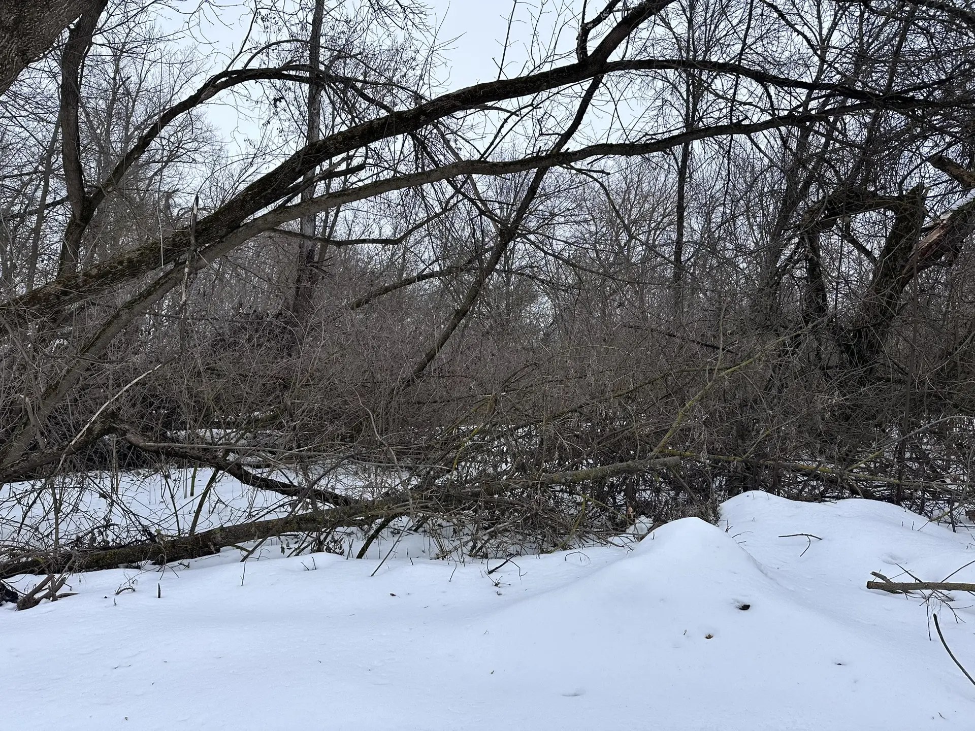 В парке «Боева дача» начнутся работы по уборке территории В парке «Боева дача» начнутся работы по уборке территории