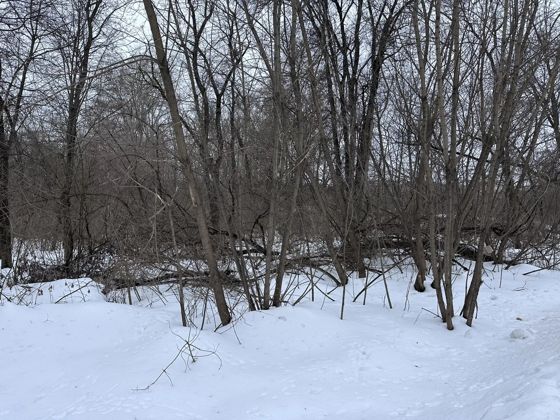 В парке «Боева дача» начнутся работы по уборке территории В парке «Боева дача» начнутся работы по уборке территории