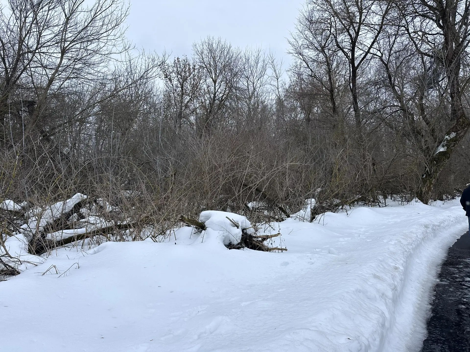 В парке «Боева дача» начнутся работы по уборке территории В парке «Боева дача» начнутся работы по уборке территории