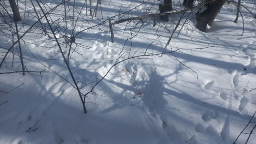 � ������� ������� ���������� ����������� � ������ ������������� ����������� ������