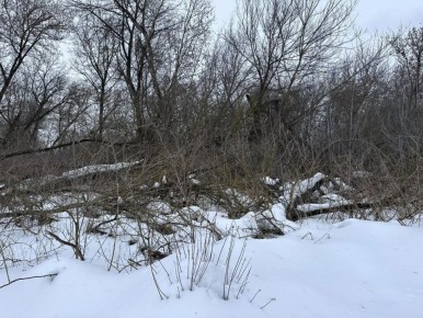 � ������ ������ ������� �� ������������ ����� � ���������