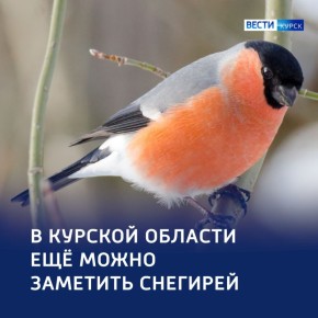 ������� �� ���������!. � ������� ����� ����� ������� ������� ����� ������ � ��������