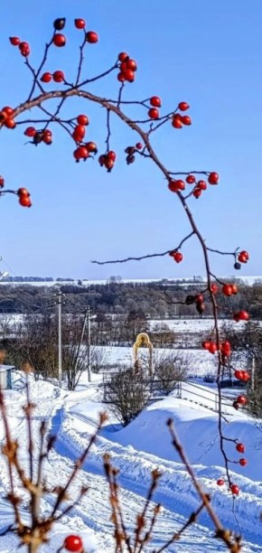 ������ ����!. ������� ����� ������� � ������������