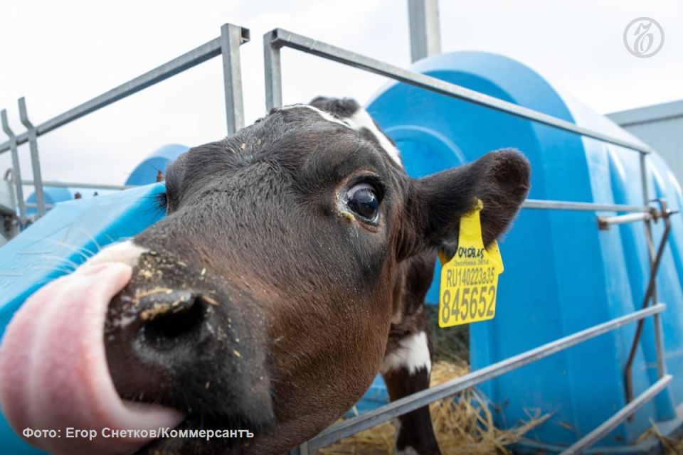 ����� � ������� ������� ���������� ��-�� ���� ���