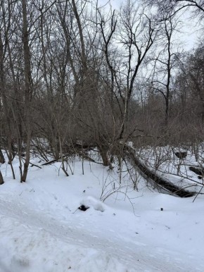 �� ������ ���� ������� ��� ������������