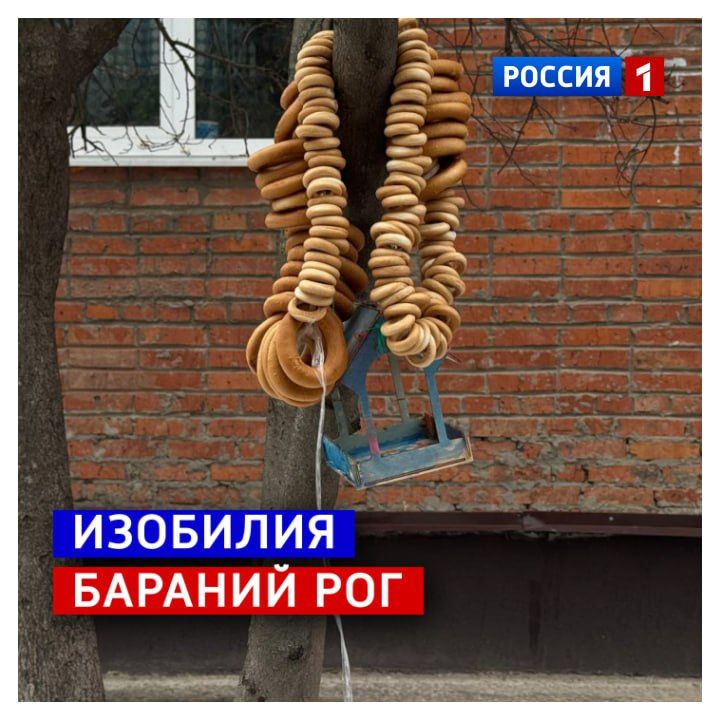 5 марта, четверг. Люди разные — и кормушки разные