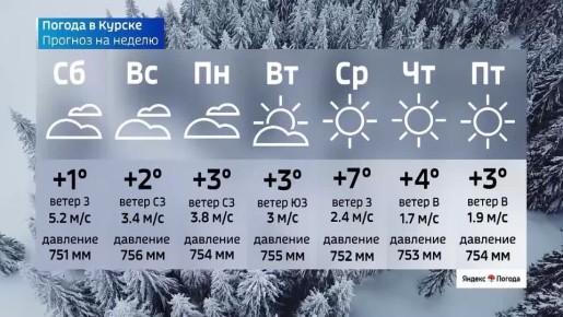 �� 6 �����. ����� ������ | �������� | MAX