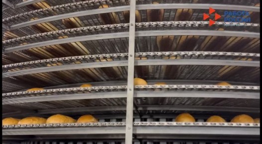 ��������� ������������� ������� ������� ������������ �������������� ��������, ��������� ��������� � ������� ������� ������� ��������� ����� ������������ ���� ���������� � ������ ������������, �������� �������������� ��...