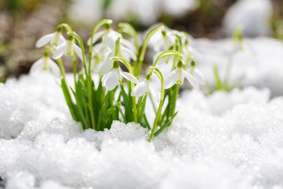 ������ ����!. ������� ��� ���� ������������� �������� - 8 �����! ���� �������� �������� ���� ���������� ����� � ������� � �������, ����������� �� ������ ����� � ������ ���������