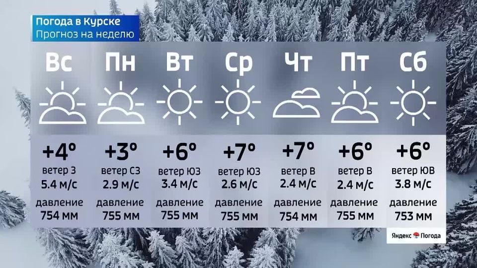 �� 7 �����. ����� ������ | �������� | MAX