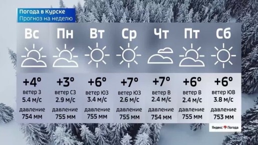 �� 7 �����. ����� ������ | �������� | MAX