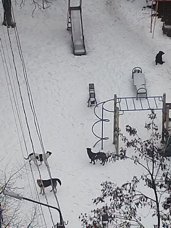 � ������ ������������ �� ������ ����� ������� ������������ ��������� � �������