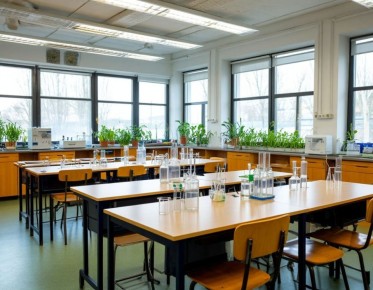 �� ���������� ������� ������� ����������� ������������ ������ ���������������� ����������� ����������������� ������������, �������������� ����������� ���������� ��������� ���������� �������