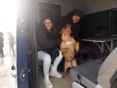 ��������� � ��������� ������ � ����� ��� ����������� �������-���������� �������������: ������� ��������� �� ����������� �����