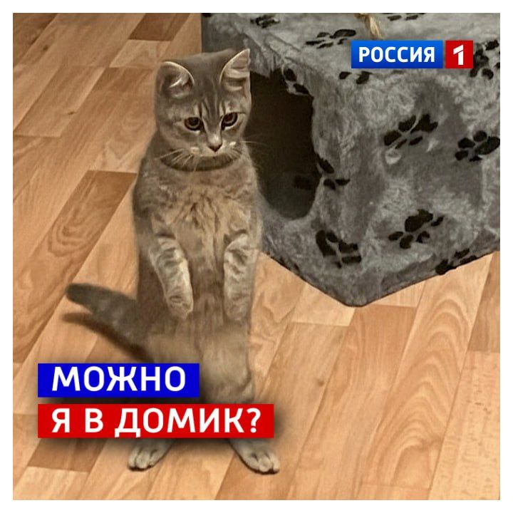 6 �����, �������. ����� ��������� ����� ������� � ������� ��� ��������