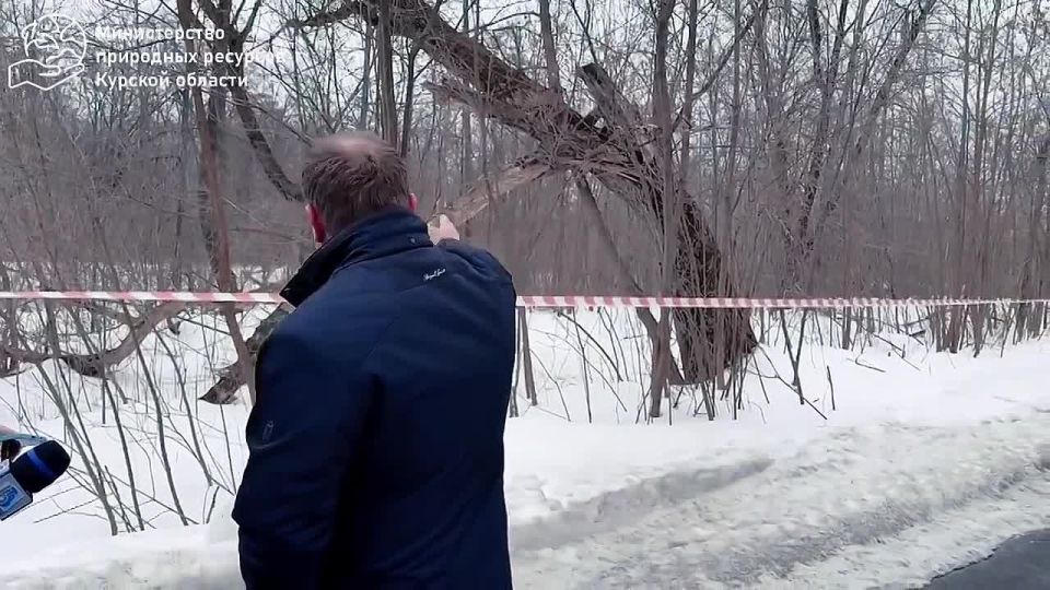 �� �������������� ����� ������ ����� ��������� �� ������� ����� ��������� ������� ���� ������� � ����������������� ��������