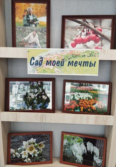 ��������� ��������, ������ � ����� ������, ���������� ��� � ��������� ��� ����������� ��������� ���������� �������� ������������ ����� ������� ������������ � ������� ����������� ������� ���� ���� ������