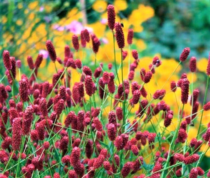 ��������� ������������, ������� �� ������� �����