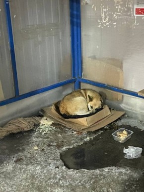 �C����� ������ �������������