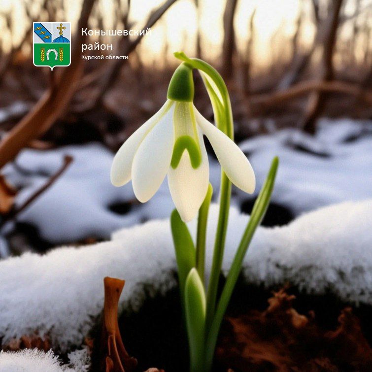 ������ ����!. ������� ���� ����� ��������, �������� ��������� ������, ������� ����� 0�C