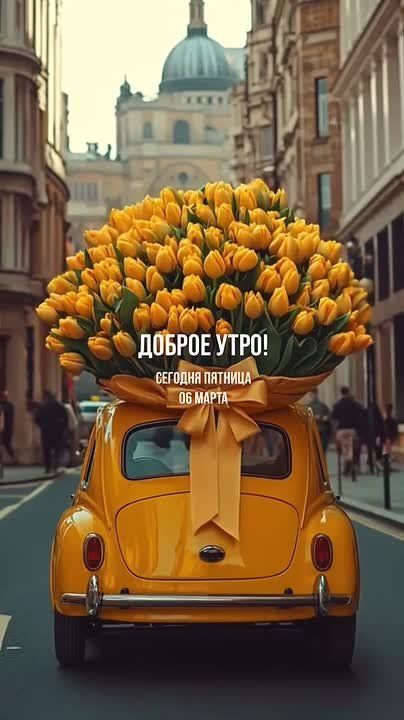 ������ ����, ���������� �����! ������� ���������� �������, 6 �����, � ��� ����� ��� ����� ��������� ������������� ����������: ������������� ���� ������� ����� , ������������� ���� ������� � ���� ������