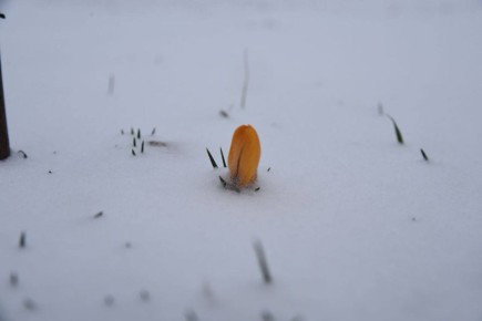 ����� ������ ������� ����� �� ������� �������� � 7 �� 9 �����