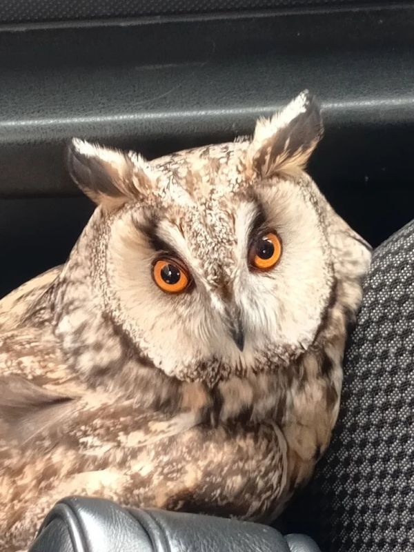 � ������ ������ ������� ����