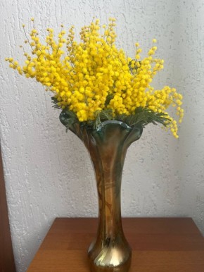 ������ ����!. �� ���, ����������? ����� ���� ���� ����� ��� ��� ����� �� �������, ��� � ���� ����� �� ����