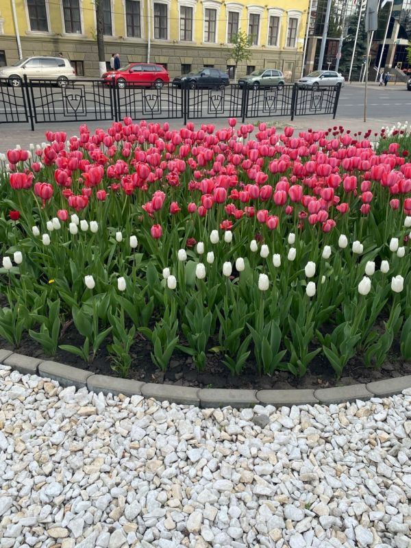 ������� ������� �� ������������� ������� ���� ���������� ������