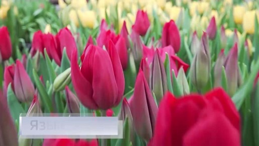 11111������� ���� ������ � � 14:30 � �������� ������� ������� ����� � �������� ������: