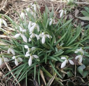 � ������� ������� 9 ����� ��������� �� +10 ��������