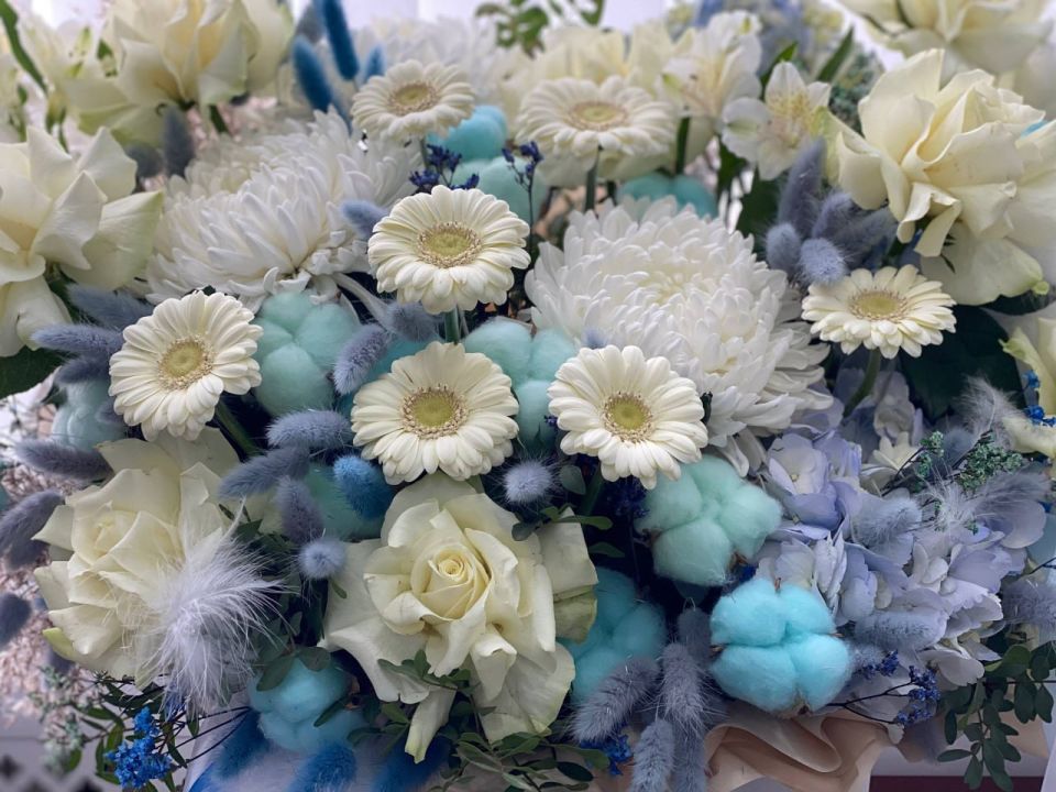 ���� ��������: ������� �������, �������, �������!