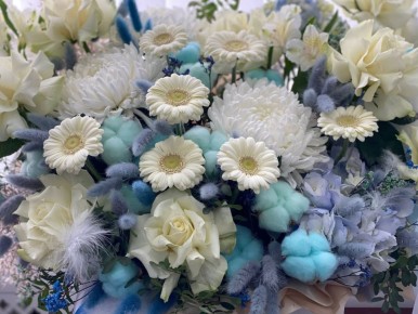 ���� ��������: ������� �������, �������, �������!