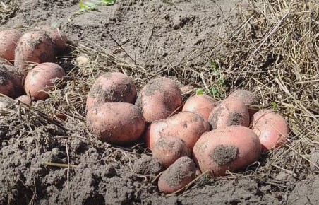 ������� ��� �� ��������� ��� ����: ��� ����� �����