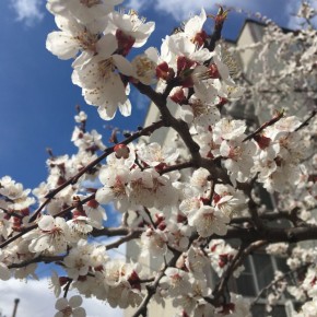 � ������� ������� 9 ����� ��������� �� +10 ��������