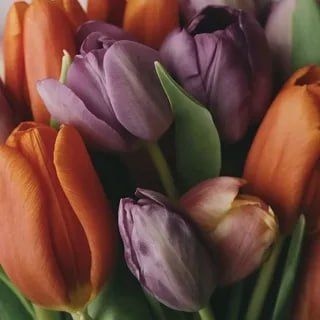 ������� �������: ������� � ����� �������!. ������� ����� ������, ��������� � ��������� ������������ � 8 ����� � ���������� ��������, �����, ����� � �������!