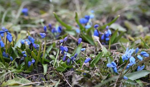 10 �������� ����� ��������� 9 ����� � ������� �������