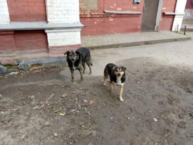 � ������ ��������� ��������� ���� ����� ��������� ��������� ����� �� �������