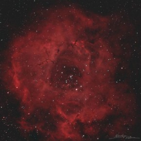 «Роскосмос» опубликовал космические цветы к 8 марта