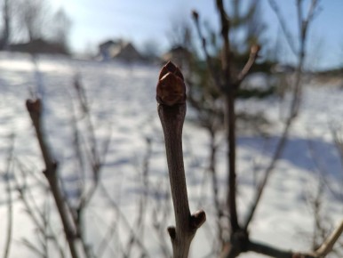 � ������� ������� ���� 9 ����� ������������ ����� ������