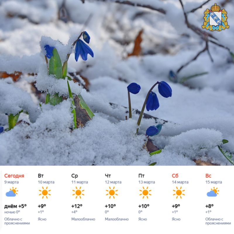 ������ ����! ������� ������ ������