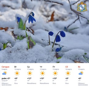 Доброе утро! Прогноз погоды радует