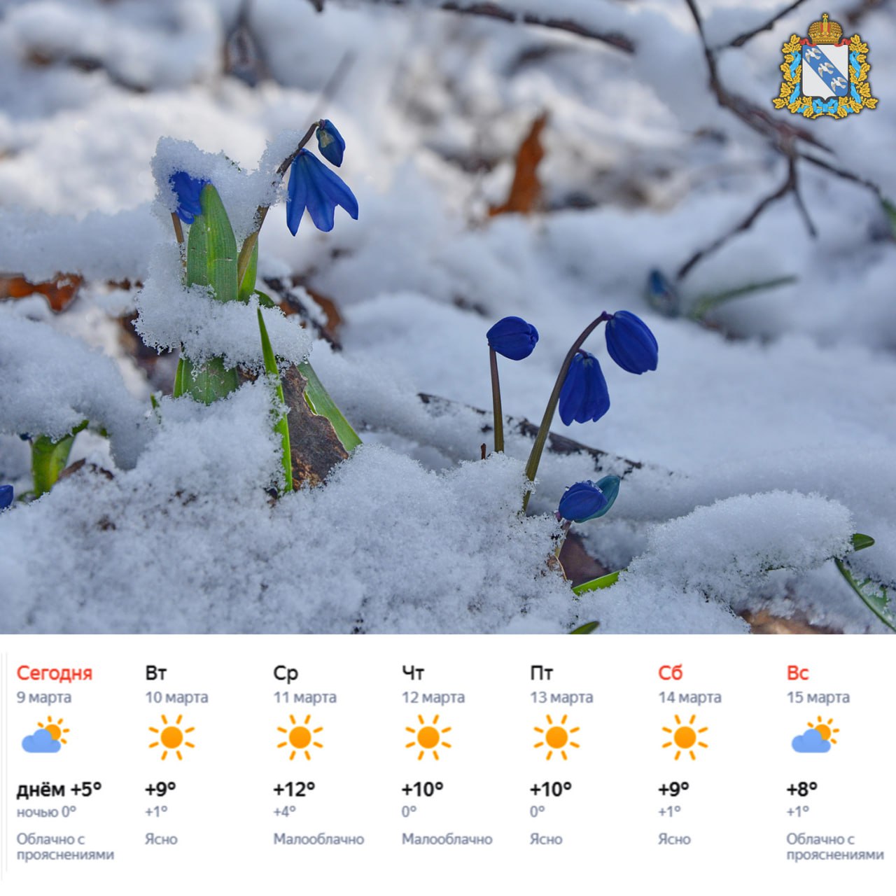 Доброе утро! Прогноз погоды радует