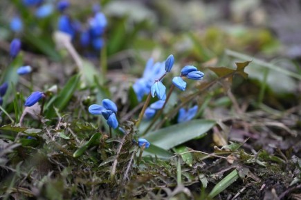 � ������� ������� 10 ����� ������� �� 12 �������� �����